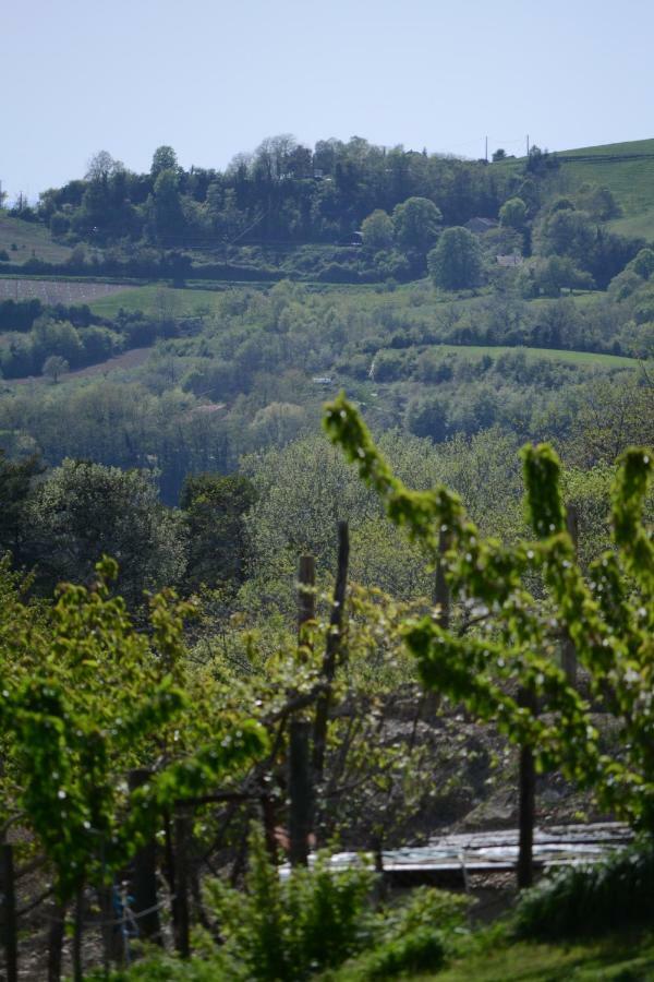 Gite Les Pins Montchenu Kültér fotó